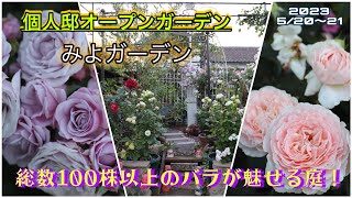 【個人邸のオープンガーデン】　100株以上のバラが咲き誇るお庭、みよガーデン　【ガーデニング】　【園芸】