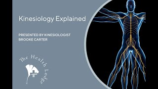 Kinesiology Explained