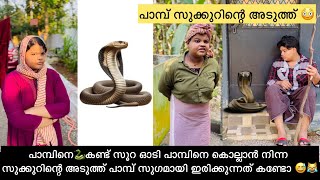 പാമ്പിനെ🐍കണ്ട് സൂറ ഓടി പാമ്പിനെ കൊല്ലാൻ നിന്ന സുക്കുറിന്റെ അടുത്ത് പാമ്പ്😹 #comedy #snake #malayalam