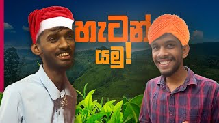 දවසම කන්න හැටන් යමු | A Day In Hatton | Daily Vlog | හිතුවක්කාරයෝ