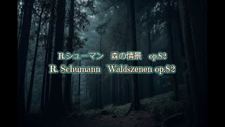 R.シューマン　森の情景 op.82  R.Schumann Waldszennen op.82  Piano:Takashi Sasaki