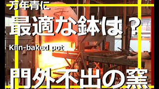 【万年青に最適な鉢】【門外不出の窯焼き】楽焼　黒鉢の焼き方　万年青の黒鉢の通気性【万年青の豊明園】【Best OMOTO Pot / Kiln baked pot 】陶芸　釉薬　窯　陶器　焼き物　黒楽