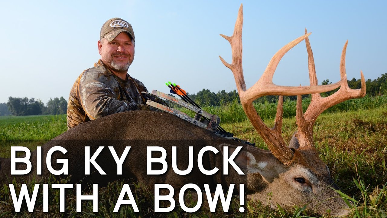 Early Season Bowhunting | Big Kentucky Buck Down! - YouTube