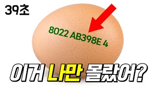 계란 껍질에 적힌 숫자의 비밀!