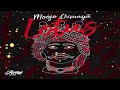 moojo u0026 demayä lotus original mix