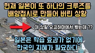 현재 일본이 또 하나의 크루즈를 배양접시로 만들어 버린 상황 // 일본은 학습 효과가 없기에 한국의 지혜가 필요하다