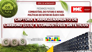 Workshop Captura e Armazenamento de Carbono e Combustíveis Sintéticos