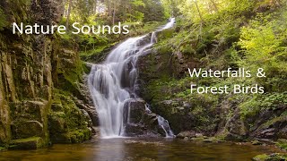 2 hours of Soothing Nature Sounds - Serene Waterfalls  - Forest Birds