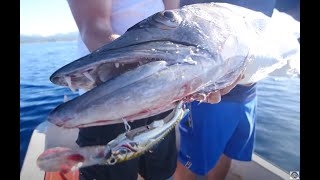 SAMOA Fishing Adventure! | INSHORE Reef Fish & OFFSHORE Pelagics! | (Part 1 of 2)