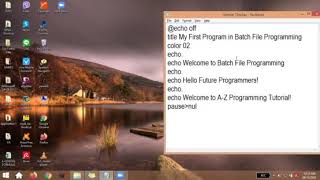 Basic Program in Batch File Scripting - Simple Display Part 1
