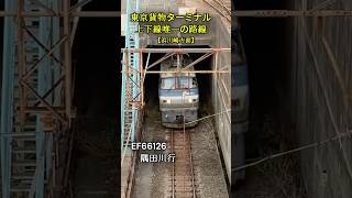 村田屋です♪無くなると考えるとみたくなる🧐京急線小島新田近くの陸橋おすすめです#京急線#JR貨物#EF66#通過列車#トンネル#貨物駅#川崎#鉄道旅#日本の鉄道#Japan travel