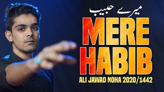 Nohay 2020 | Mere Habib Noha 2020 | Ali Jawwad Hussaini | New Noha 2020 | Habib Ibne Mazahir Noha