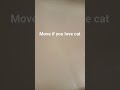 move if you love cat