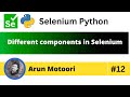 Different Components in Selenium (Selenium Python - Part 12)