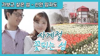 [한국의 섬] 신안 '임자도' 사계절 꽃피는 섬