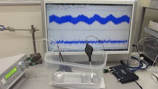 メガヘルツの超音波発振による、表面弾性波のダイナミック制御実験（メガヘルツのスイープ発振とパルス発振の組み合わせ技術）