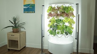 iHarvest Hydroponic Indoor Garden