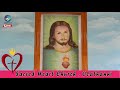 live holy mass ആണ്ടുവട്ടം മുപ്പത്തി രണ്ടാം വാരം ഞായർ ദിവ്യബലി 07 11 2021 6.00 am