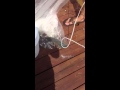 How to throw a cast net!!