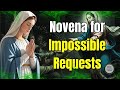Novena for Impossible Requests | Seeking Mary’s Intercession for Three Intentions #godalwl 