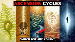 The Real Reason YOU DON'T FIT IN | 5 Stages of Your SPIRITUAL AWAKENING