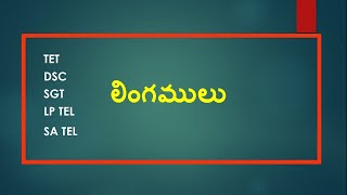 TSTET I DSC I తెలుగు వ్యాకరణం l  లింగములు l అంశం