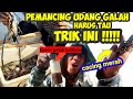 Inilah Umpan Paling Ampuh Mancing Udang Galah di Air Keruh dan Dingin ‼️