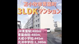 3088863★苫小牧市青葉町2丁目★南向き★3LDK★マンション★#shorts