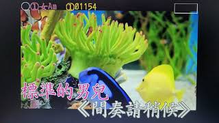 阮無愛你 _薩克斯風演奏 /吳明秋 (文鶯＆黃三元懷念歌曲 )。