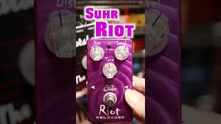 Suhr RiotとMarshall Guvnor🎸#suhrriot #marshall #guvnor #guitarpedals #ストラトキャスター