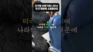 미국가는 비행기에 나타난 '이것'때문에 소름돋아요