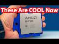 Get Smart and Make Money Learning About Server CPUs for Agentic AI