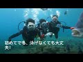 青の洞窟体験ダイビング