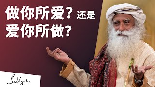 做你所爱，还是爱你所做？| Sadhguru 萨古鲁