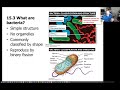 Chapter 15 Evolution amongst Microbes Bio110