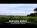 Proses Pembuatan Tepung Tapioka - Sanggar Bintang Muria