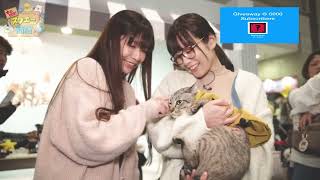 Ep 1095 - Yokyun \u0026 Shinonome Umi Pet Goods Unveiling Event Stream