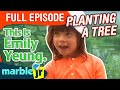 This is Emily Yeung - Season 1 - This is Emily Yeung planting a tree