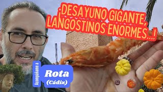 DESCUBRE LA GASTRONOMÍA DE ROTA, Cádiz, Andalucía, España