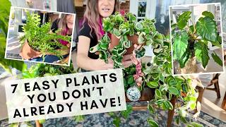 7 easy houseplants for beginners that you probably don't have!