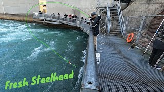 Float Fishing For Early STEELHEAD | Fishing The NIAGARA RIVER