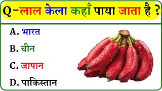 GK Question || GK In Hindi || GK Question and Answer || GK Quiz ||