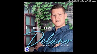 Interview Delano Bisschops Delfsblauw 5 Juni 2018