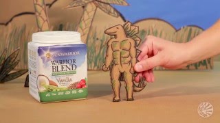 Sunwarrior Warrior Blend | Vegan Plant Based Protein