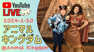 🔴Live❣️フロリダディズニーのアニマルキングダムから生配信🦒(2024-1-20)