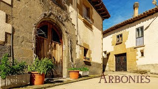 PUEBLOS DE NAVARRA (ARBONIÉS) ( municipio de Romanzado)