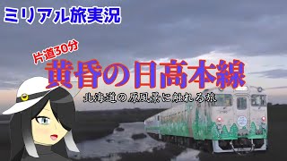 【片道30分】黄昏の日高本線で北海道の原風景に触れる旅【ミリアル旅実況】