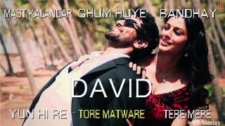David Hindi Movie Full Songs (Jukebox) | Neil Nitin Mukesh, Isha Sharwani, Vikram & Others