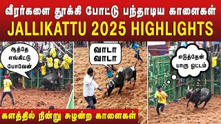 ஜல்லிக்கட்டு போட்டியில் களத்தில் நின்று சுழன்ற காளைகள் | JALLIKATTU 2025 HIGHLIGHTS