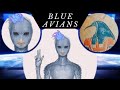 Blue Avians - DON’T Hold Yourself Back